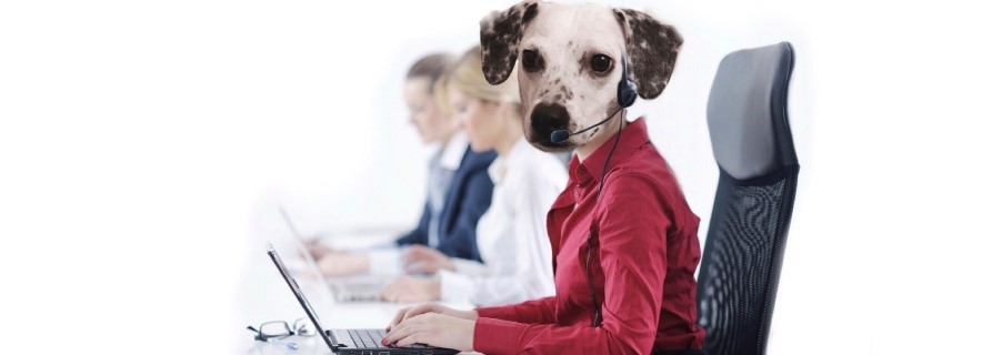 puppy_customer service